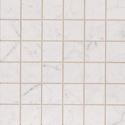 Cava Bianco Square Mosaic 2X2 Carrara Brushed