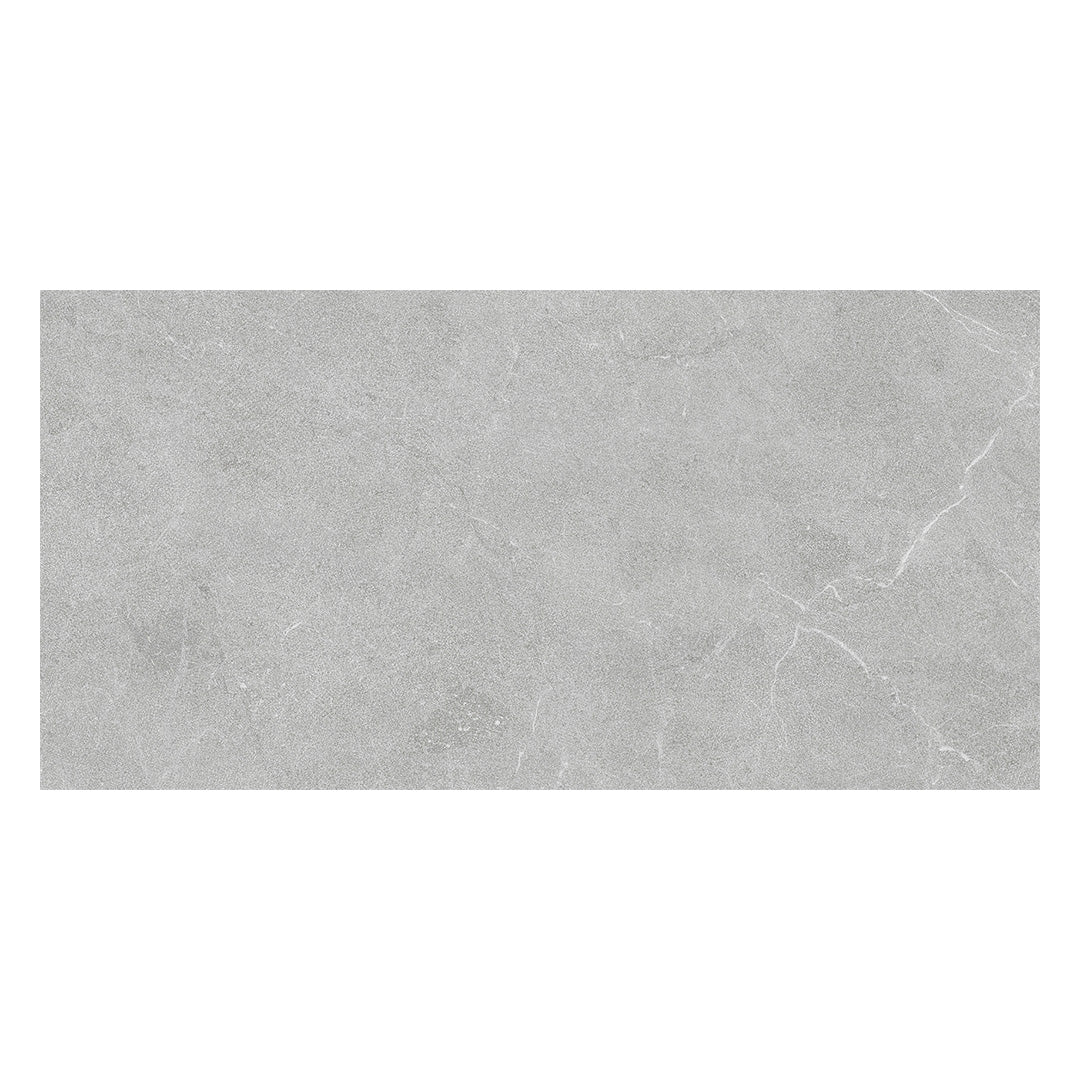 Continuum 12X24 Grey Natural