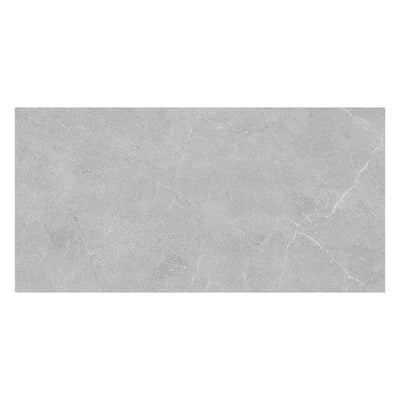 Continuum 12X24 Grey Natural