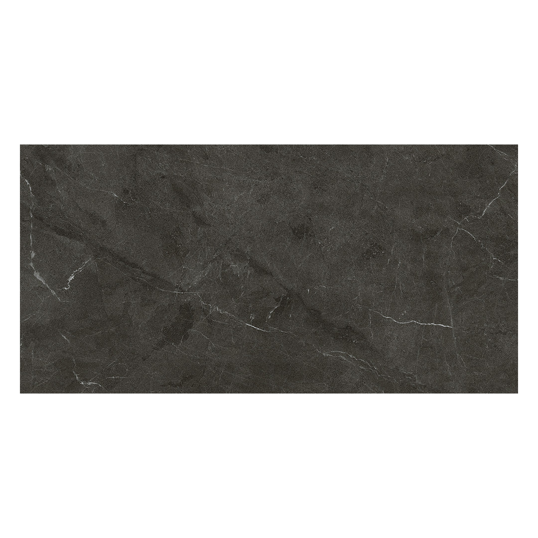 Continuum 24X48 Anthracite Natural