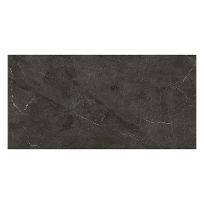 Continuum 24X48 Anthracite Natural