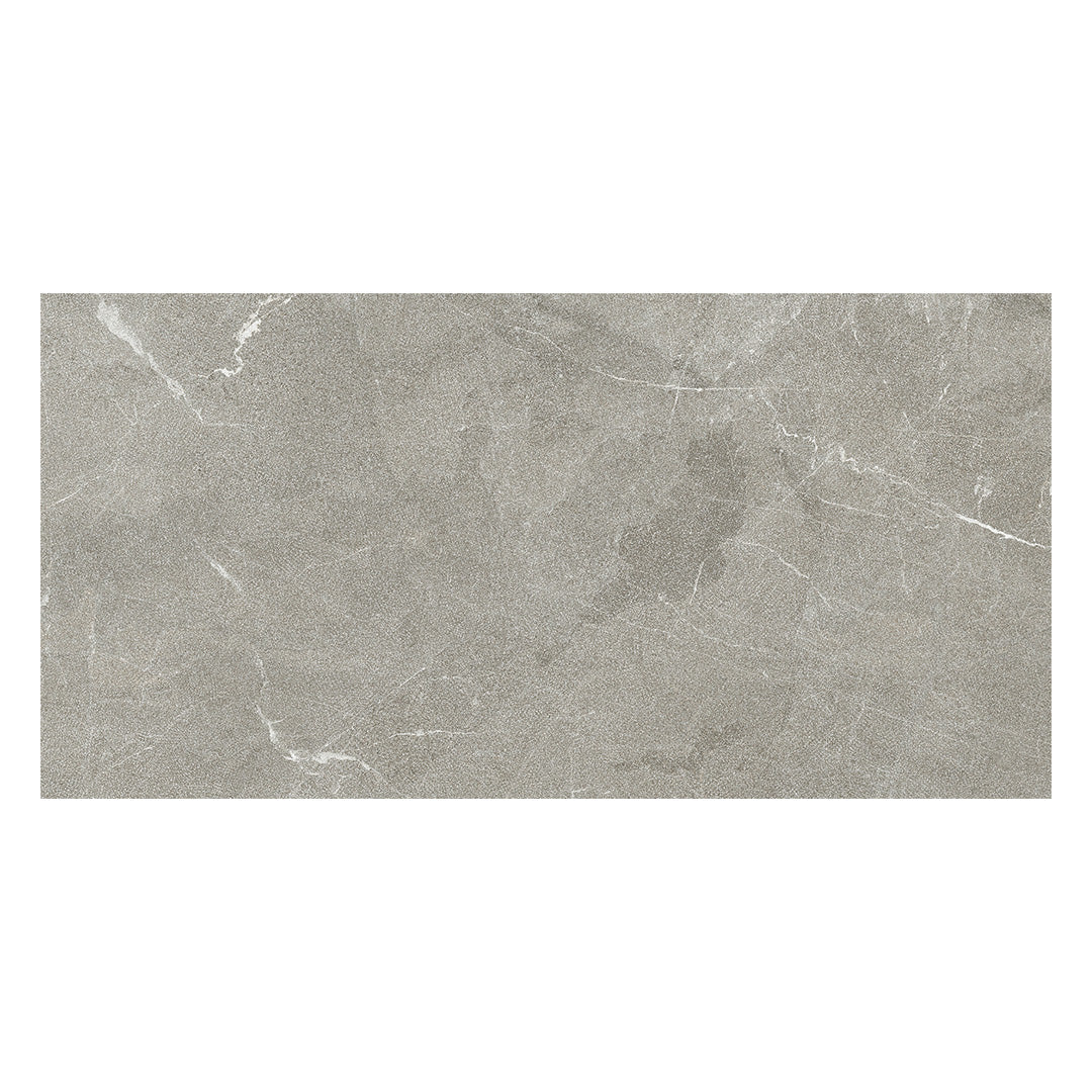 Continuum 12X24 Greige Natural