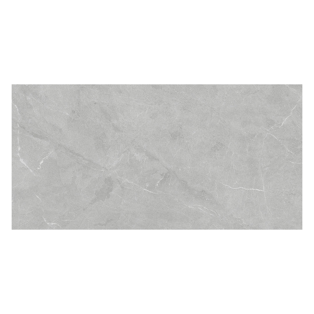 Continuum 24X48 Grey Natural