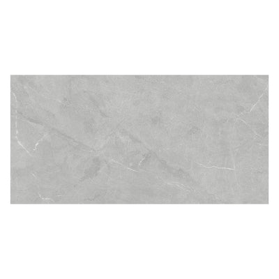 Continuum 24X48 Grey Natural