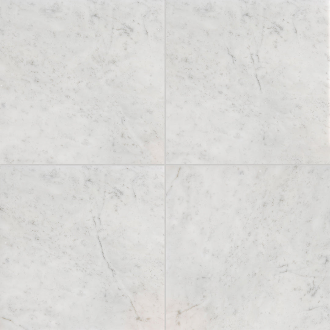 Ellington 12X12 Carrara Honed