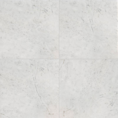 Ellington 12X12 Carrara Honed