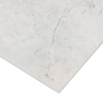 Ellington 12X12 Carrara Honed