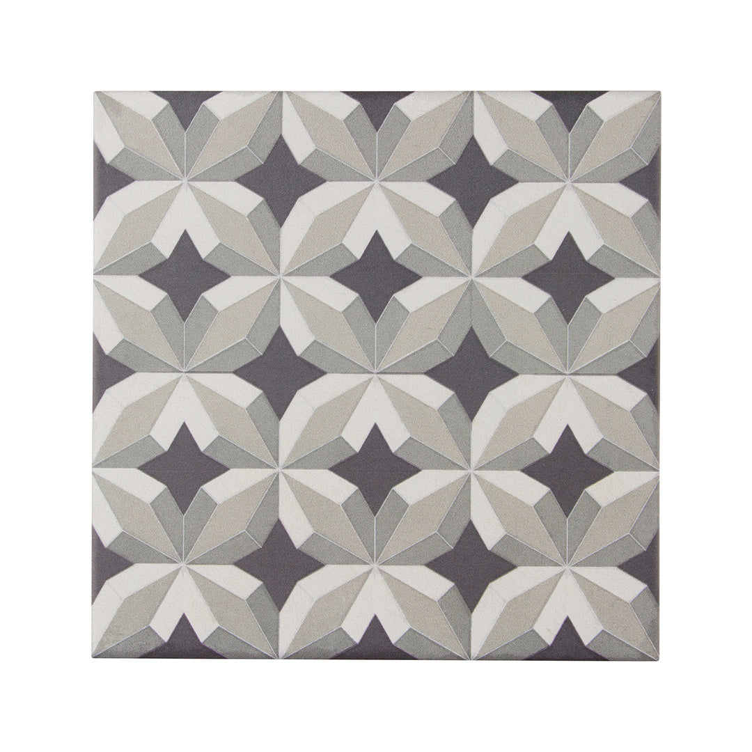 Encaustic Echoes Flourish 8X8 Obsidian Matte