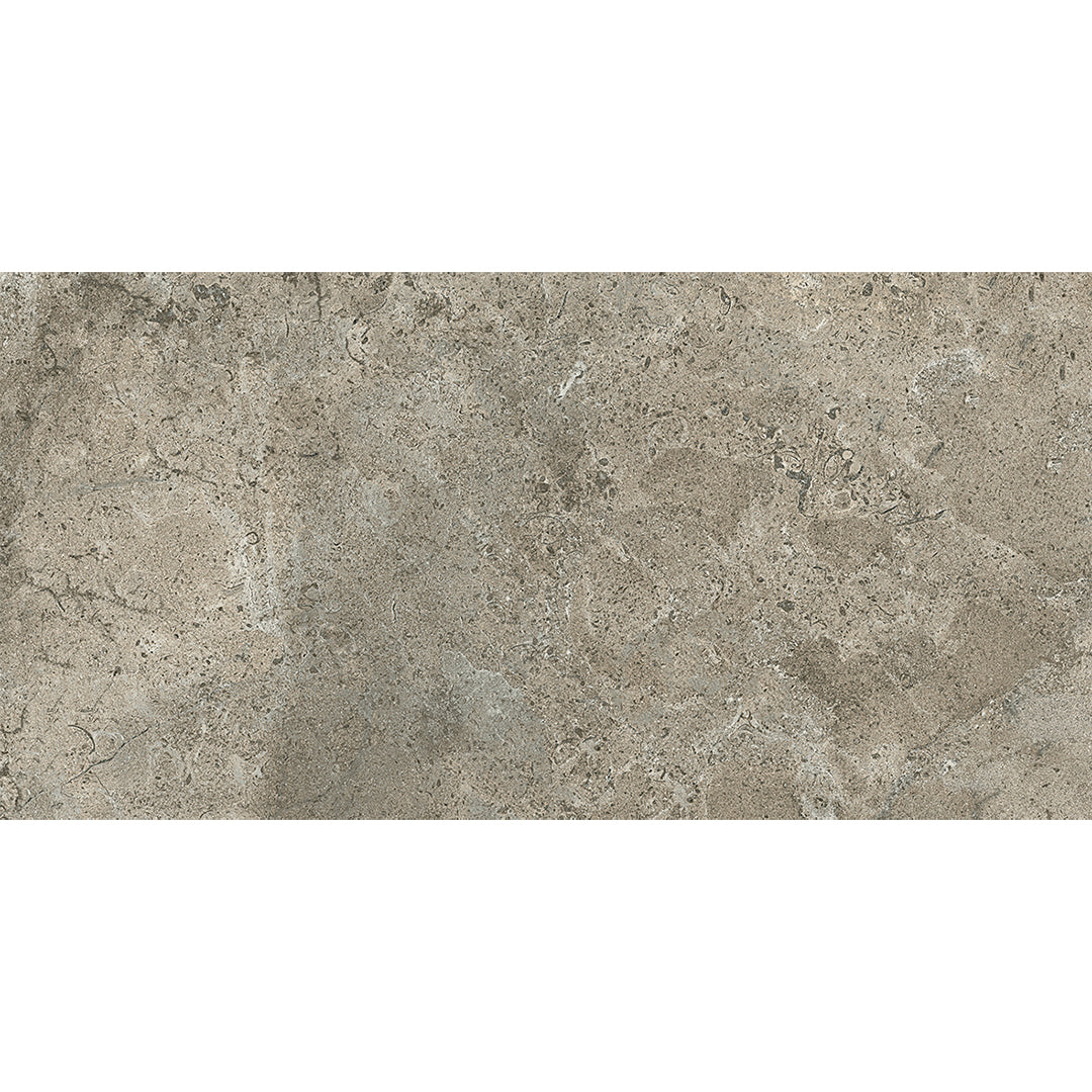 Pedra Palazzo Rectangle 12X24 Natural Matte