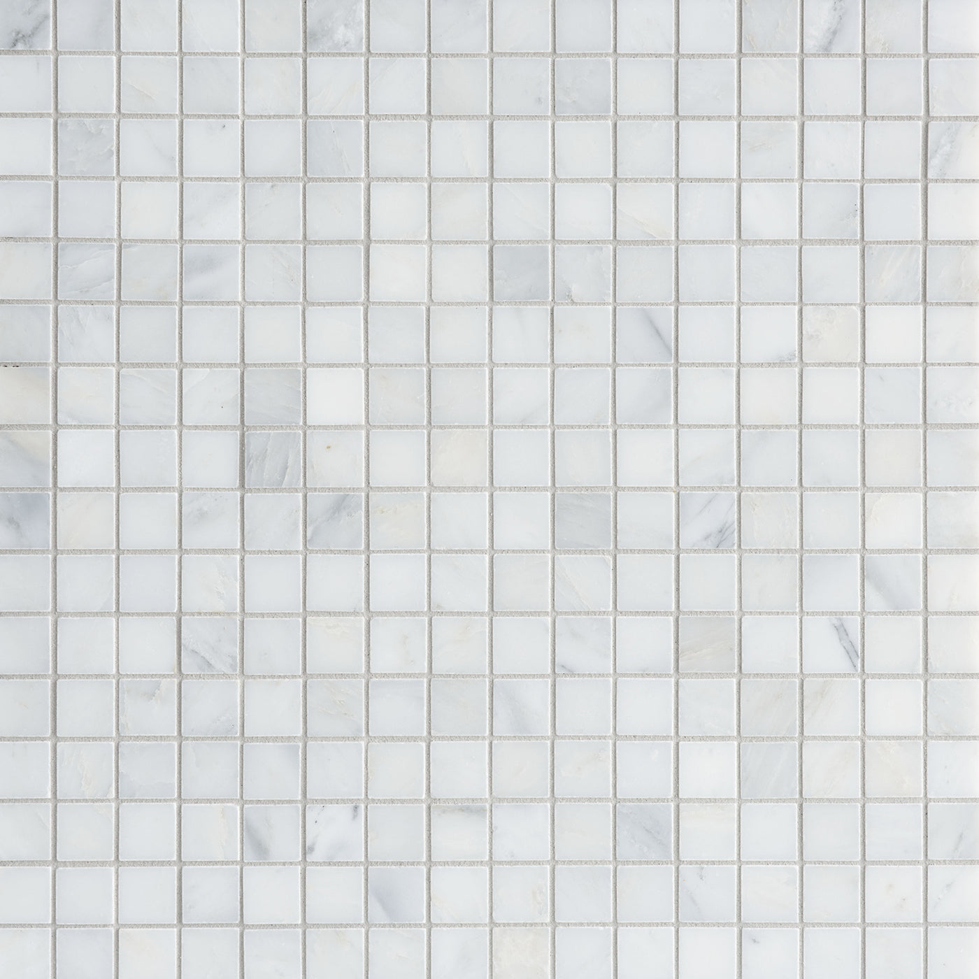 Pietra Bello Square Mosaic 12X12 Bianco Bello Honed