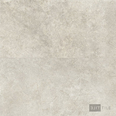 Richmond Tile 24X48 Taupe Matte
