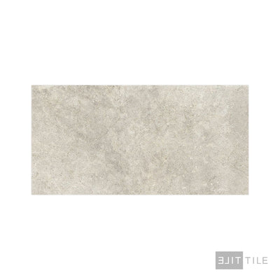 Richmond Tile 24X48 Taupe Matte