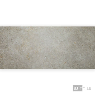 Richmond Tile 24X48 Silver Matte