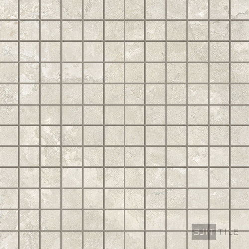 Dorset Mosaic A Matte 2X2 Bianco