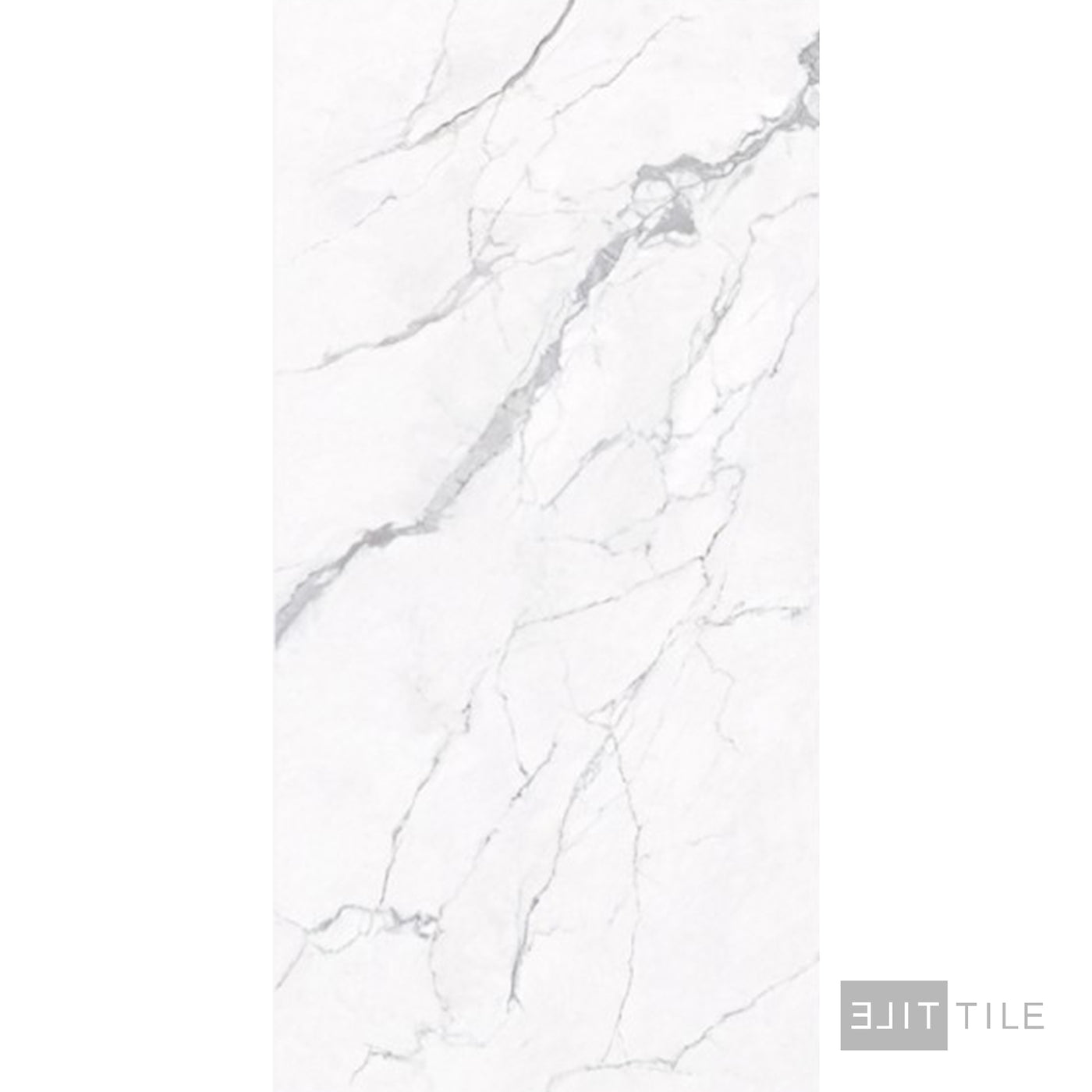 LITEX PORCELAIN SLAB 120X25.5X1.5 STATUARIO HONED PRIMARY SHOT