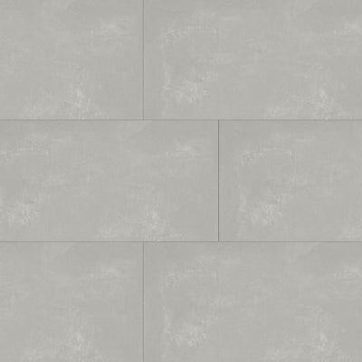 Essential 12X24 Gray Matte