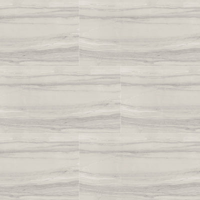 Demira 12X24 Light Grey Polished