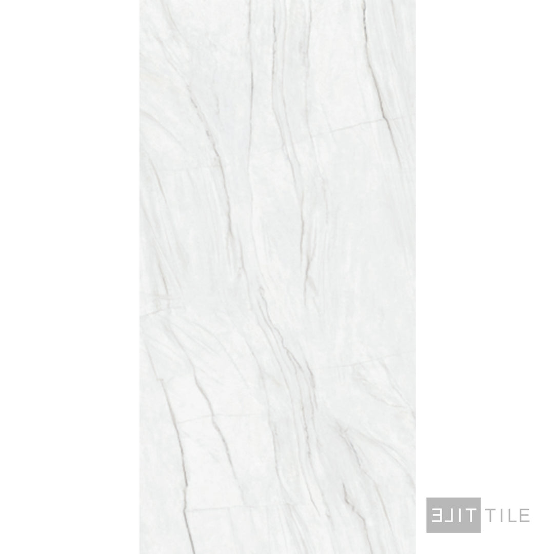 Porcelain Slabs 63X126 Monte Blanco Polished Book-Matched B – Elit