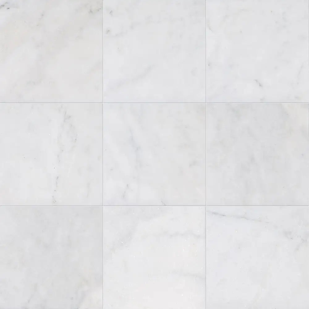 Avalon 24X24 Avalon Polished