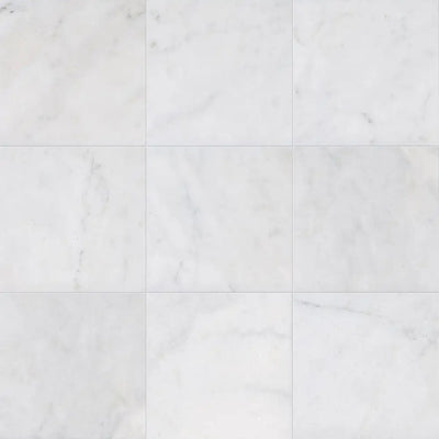 Avalon 24X24 Avalon Polished