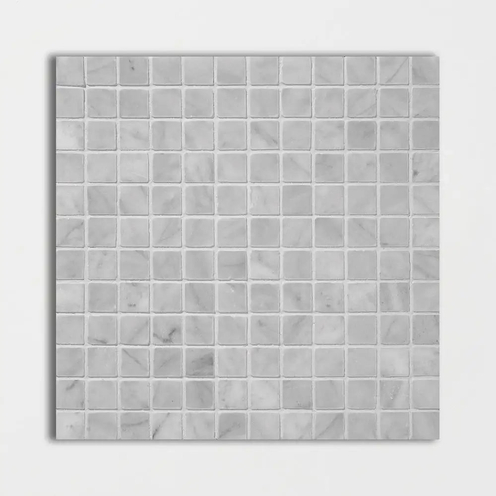 Avenza 1X1 Square Mosaic 12X12 Avenza Honed