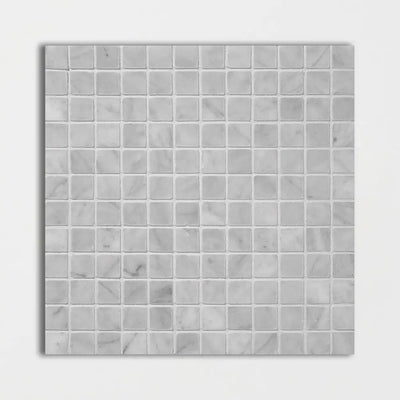 Avenza 1X1 Square Mosaic 12X12 Avenza Honed