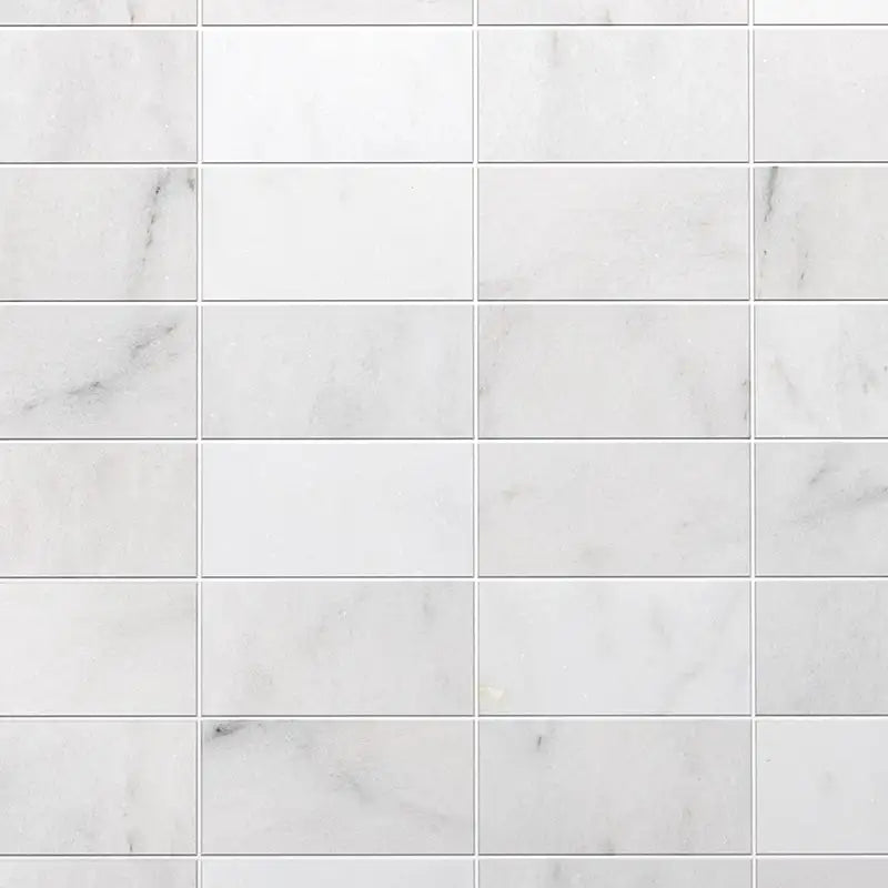 Glacier Marble 6X12 Glacier Honed