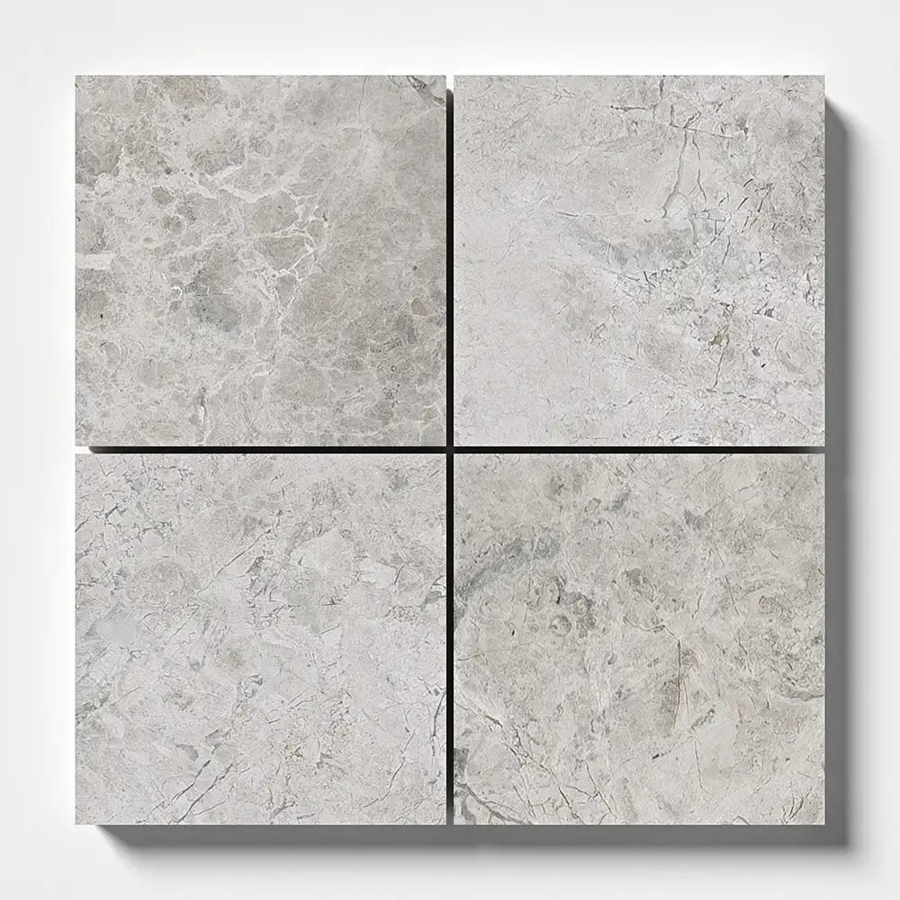 Silver Shadow Marble 4X4 Silver Shadow Honed
