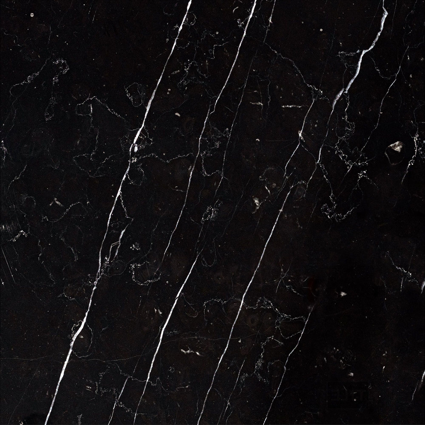 Negro Marquina Marble 12X12 Honed
