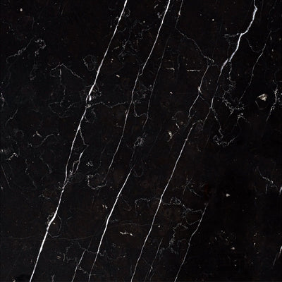 Negro Marquina Marble 12X12 Honed
