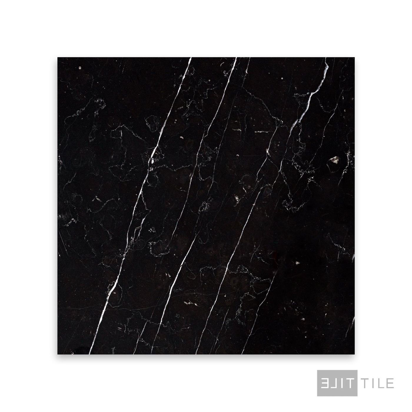 Negro Marquina Marble 12X12 Honed