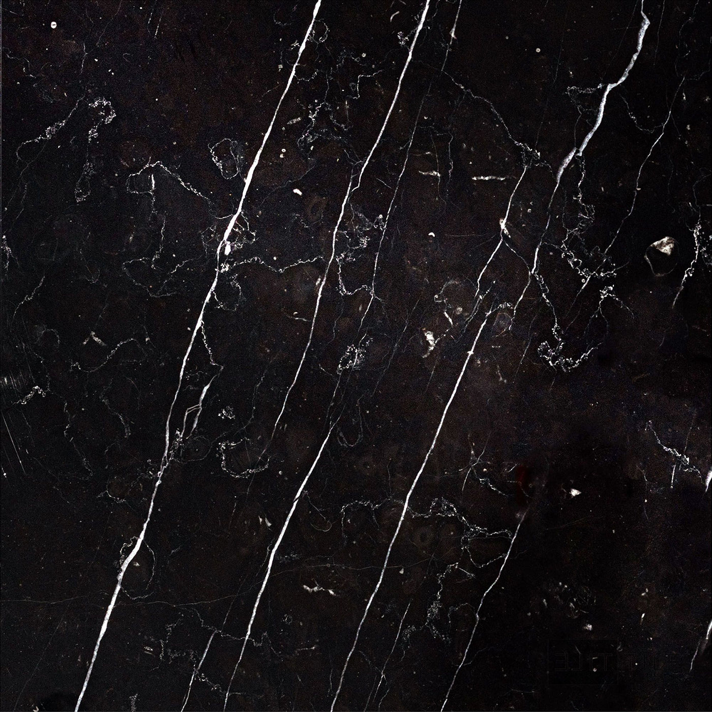 Negro Marquina Marble 12X12 Polished