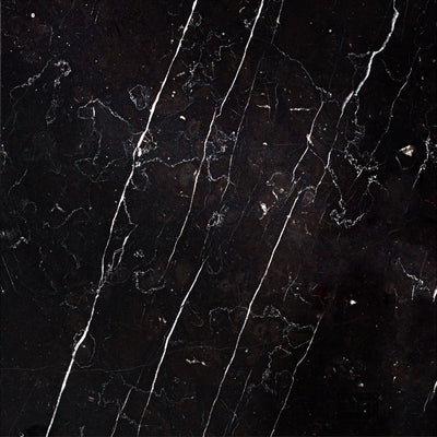 Negro Marquina Marble 12X12 Polished