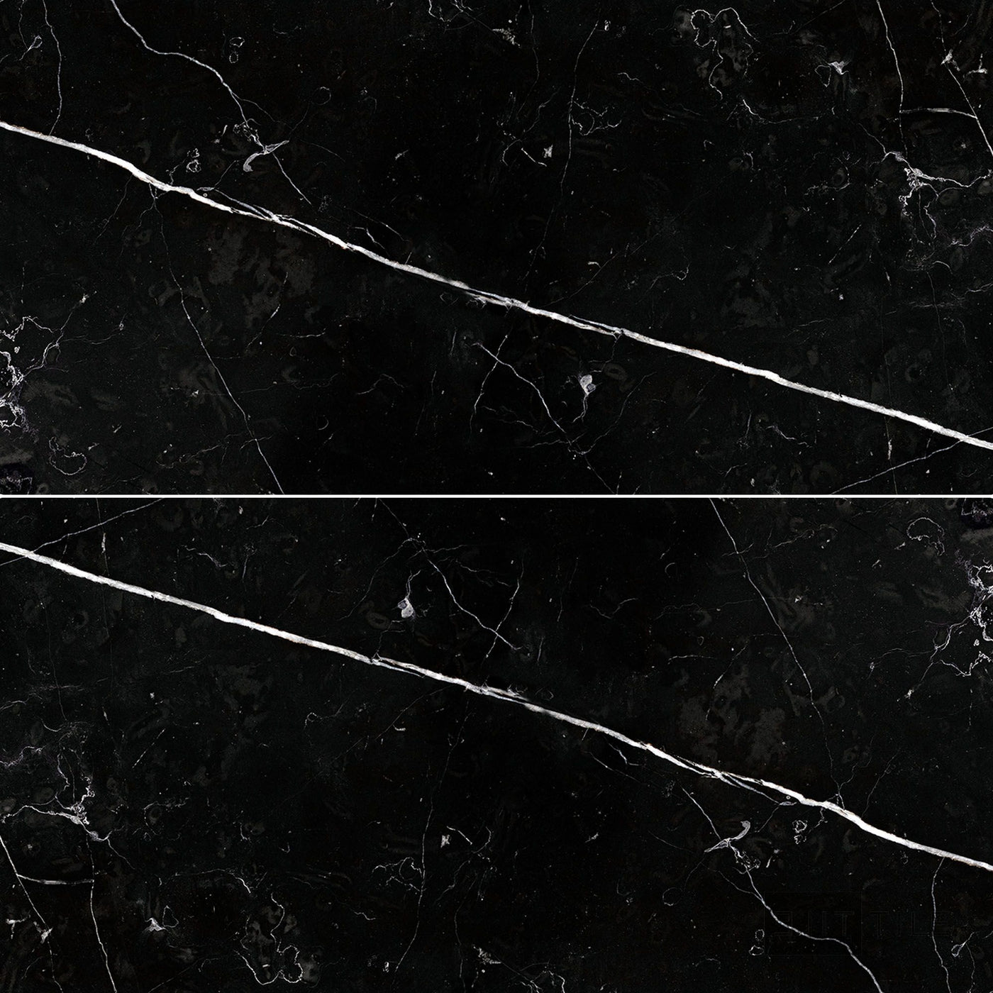 Negro Marquina Marble 12X24 Honed