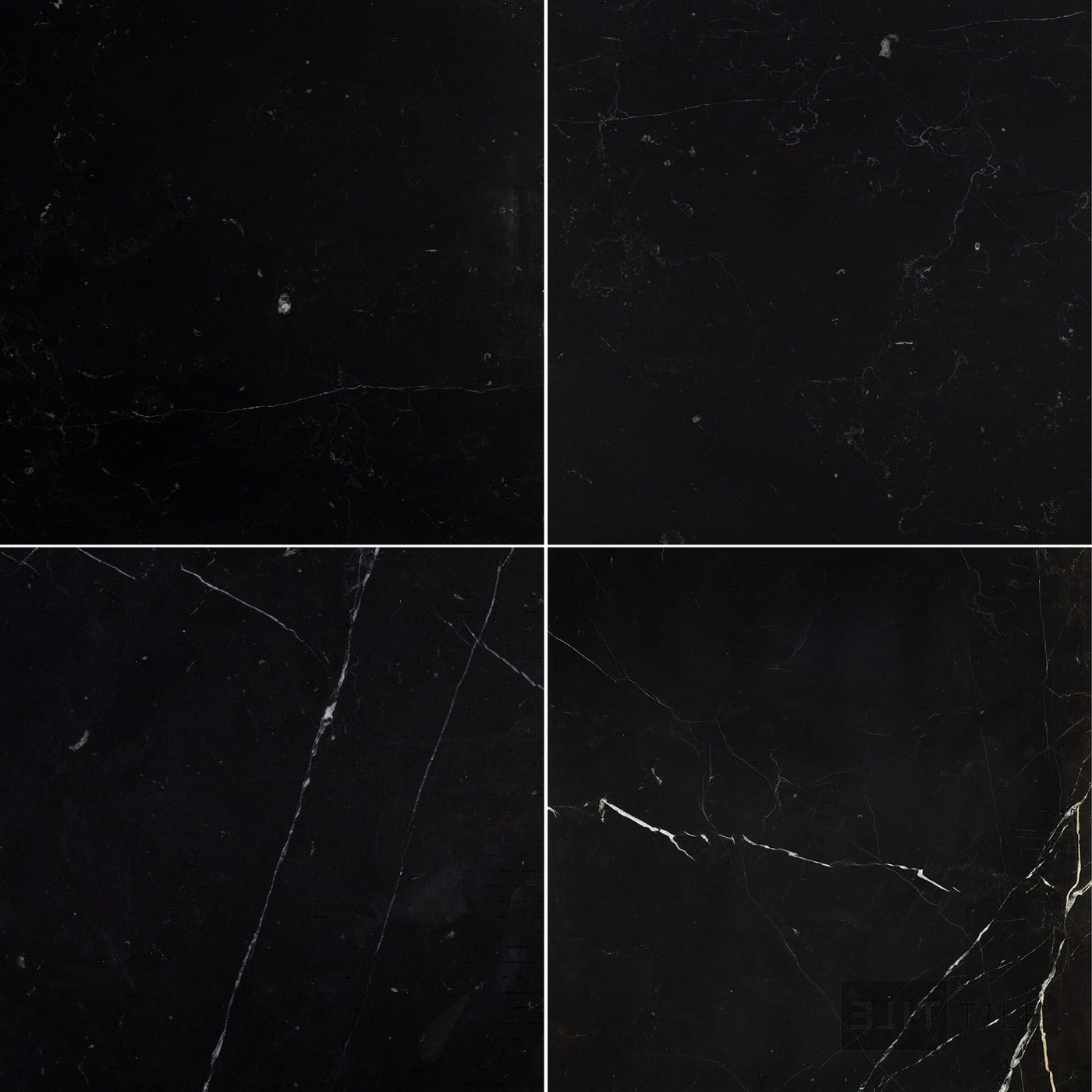 Negro Marquina Marble 18X18 Honed