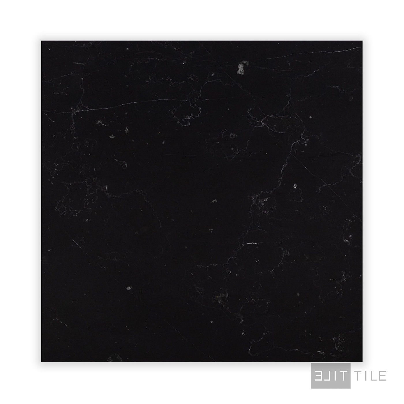 Negro Marquina Marble 24X24 Honed