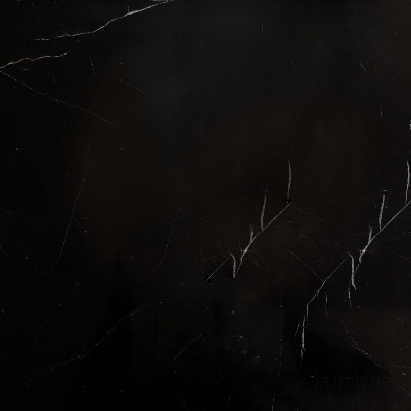 Negro Marquina Marble 24X24 Polished