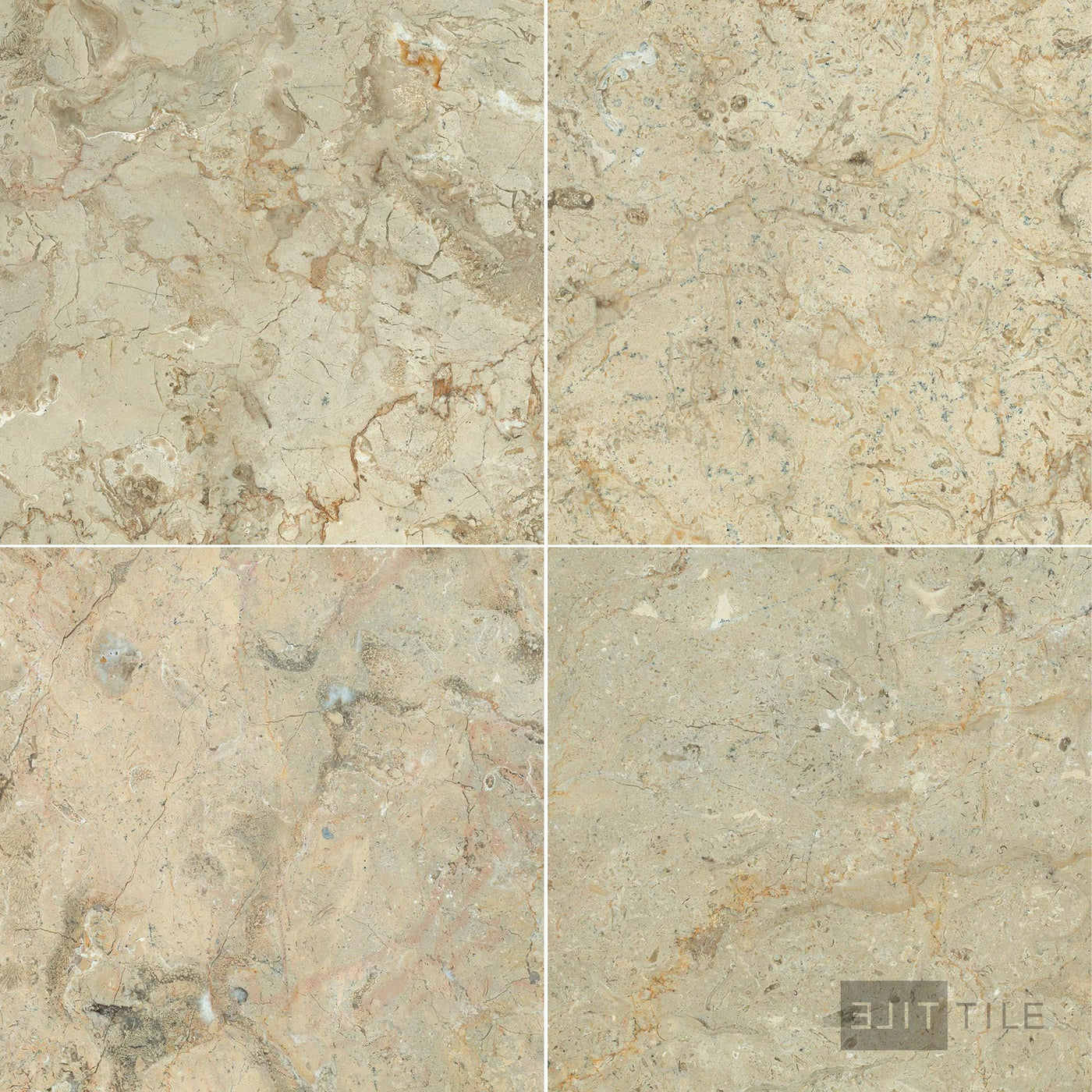 Sahara Gold Marble 12X12 Honed