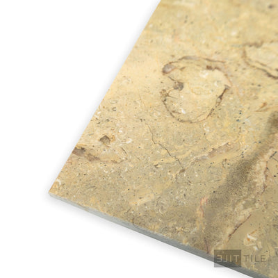 Sahara Gold Marble 12X12 Honed
