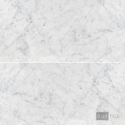 White Carrara Marble 12X24 Honed