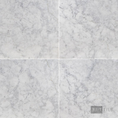 White Carrara Marble 24X24 Honed