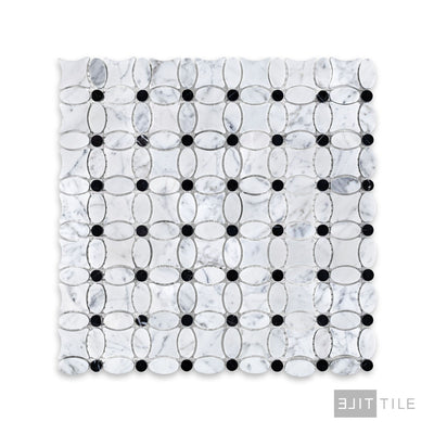 White Carrara Marble Flower Mosaic W/ Negro Marquina Honed
