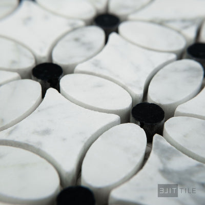 White Carrara Marble Flower Mosaic W/ Negro Marquina Honed