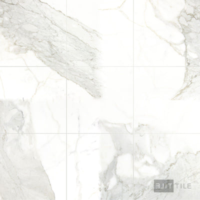 Calacatta Gold Marble 12X12 Polished