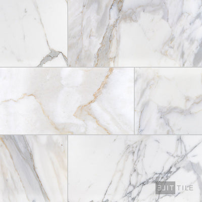 Calacatta Gold Marble 12X24 Honed