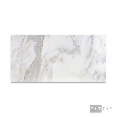 Calacatta Gold Marble 12X24 Honed