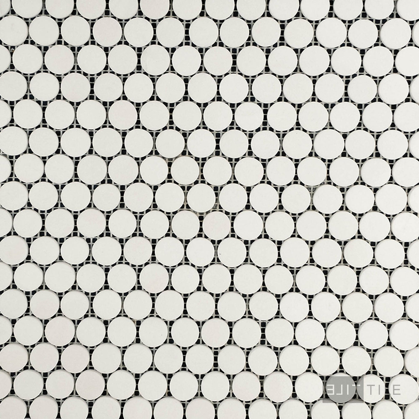 Thassos White Marble Penny Round Polished Mosaic