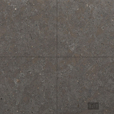 Lagos Blue Limestone 18X18 Honed
