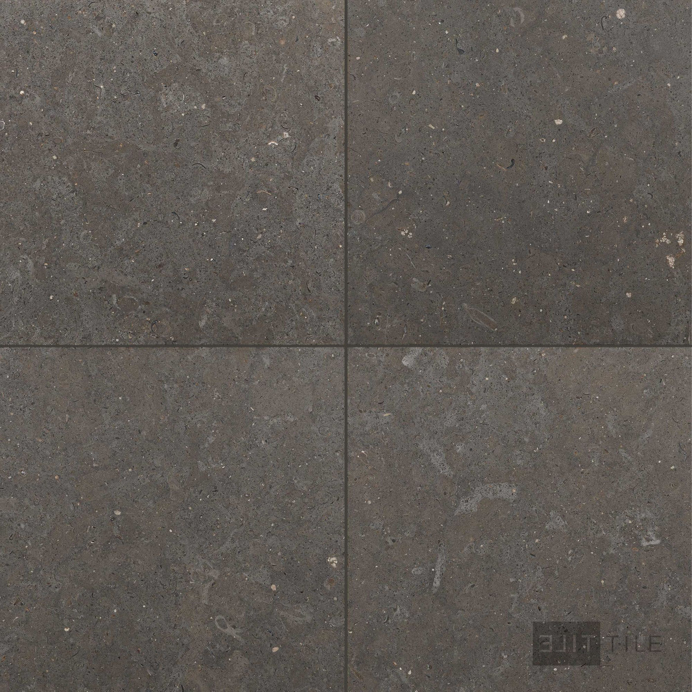 Lagos Blue Limestone 24X24 Honed
