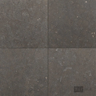 Lagos Blue Limestone 24X24 Honed